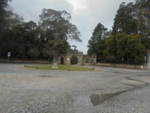 DSC02345