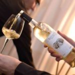 Vinhos “O Borracho” superam expectativas após um ano de existência