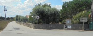 DSC03904