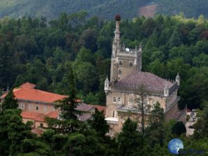 Bussaco (1)