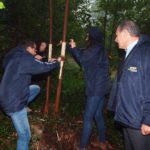 Transportes Pascoal já plantou a primeira de um milhar de árvores adquiridas no Bussaco