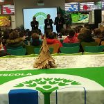 Rota pela Floresta percorre escolas da Mealhada