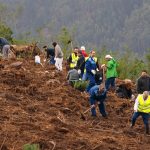 Água de Luso “trata” do seu aquífero com plantação de 5 mil árvores no Bussaco