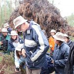 “À Descoberta dos Cogumelos” no concelho de Cantanhede