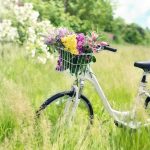 Mealhada realiza seminário dedicado à bicicleta
