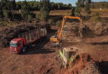 A BIOMASSA FLORESTAL TEM VALOR