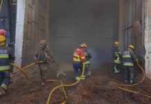 Incêndio em armazém de serradura aconteceu em Avelãs de Caminho