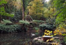 Água de Luso apresenta, em plena Serra do Bussaco, estratégia para 2018