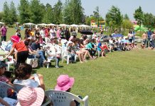 Cantanhede: Festa da Criança vai invadir o Parque de S. Mateus