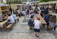 Leitão biológico será “grande atração” na Feira do Ambiente em Anadia