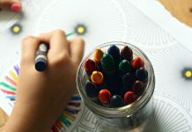 Melhores alunos do 9.º ano da Mealhada participam na “Escola de Verão Júnior”