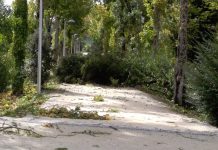 Devastador, o dia seguinte à tempestade Leslie