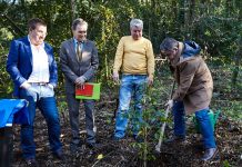 Fernando Mendes festeja aniversário com plantação de árvore no Bussaco