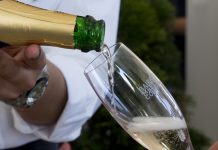 Bairrada apresenta (nova) Marca e realiza maior mostra de espumantes, vinhos e sabores