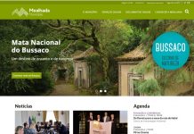 Município da Mealhada no Top10 das autarquias com melhores práticas no website