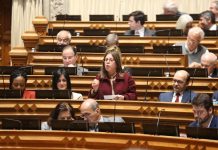 Joana Sá Pereira coordena Grupo de trabalho sobre Residência Alternada