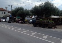 Câmara da Mealhada proíbe Feira de Santa Luzia