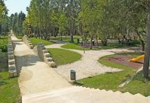 Mealhada fecha espaços municipais e cancela atividades culturais e desportivas