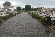 Cemitérios de Anadia abrem a 4 de maio