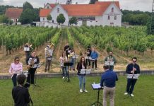 Feira da Vinha e do Vinho 2020 online começa este sábado