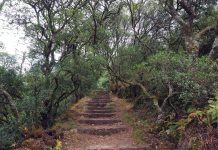 Ministro do Ambiente anuncia investimento de 500 mil euros para o Bussaco