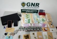 Jovem da Mealhada detida na A1 por tráfico de estupefacientes