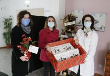 Município de Anadia deseja boas festas às instituições de solidariedade social