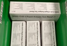 Covid-19: Autotestes começam a chegar às farmácias esta sexta-feira