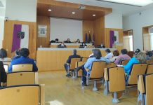 Anadia: Aprovação do regulamento do CROAC e plano de ação do PAESC