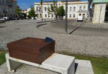 Município de Anadia aliena prédios rústicos em Vale de Salgueiro