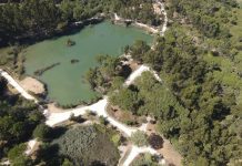 “Outono do Parque” dos Pinheiros Mansos, dias 1 e 2 de outubro, em Oliveira do Bairro