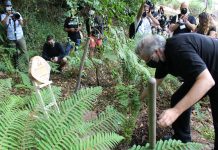 Mealhada nomeada nos “Municípios do Ano Portugal 2021” com bosque Madiba