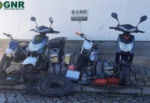 GNR recupera em Águeda material e aves furtadas