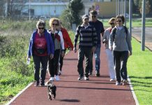 Universidade Sénior da Curia promove oficina “Caminhar +”