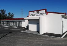 Centro de Recolha Oficial de Animais de Companhia em Anadia inaugura hoje