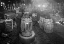 Museu do Vinho Bairrada com novas exposições temporárias
